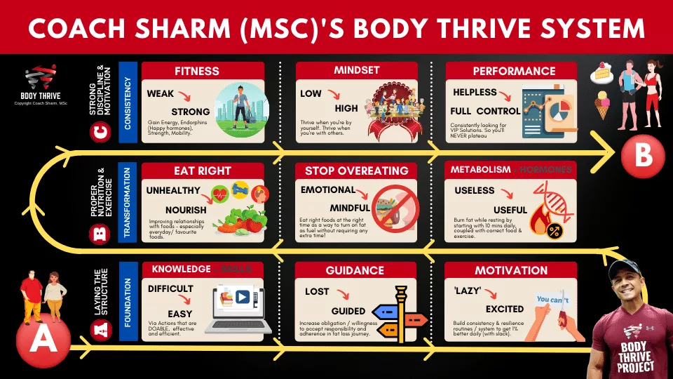 Path from A to B showing Body Thrive structure in 3 main stages and 9 steps to body transformation.